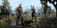 Explore the continent of Tamriel in Elder Scrolls Online. (Image via ZeniMax Online Studios)